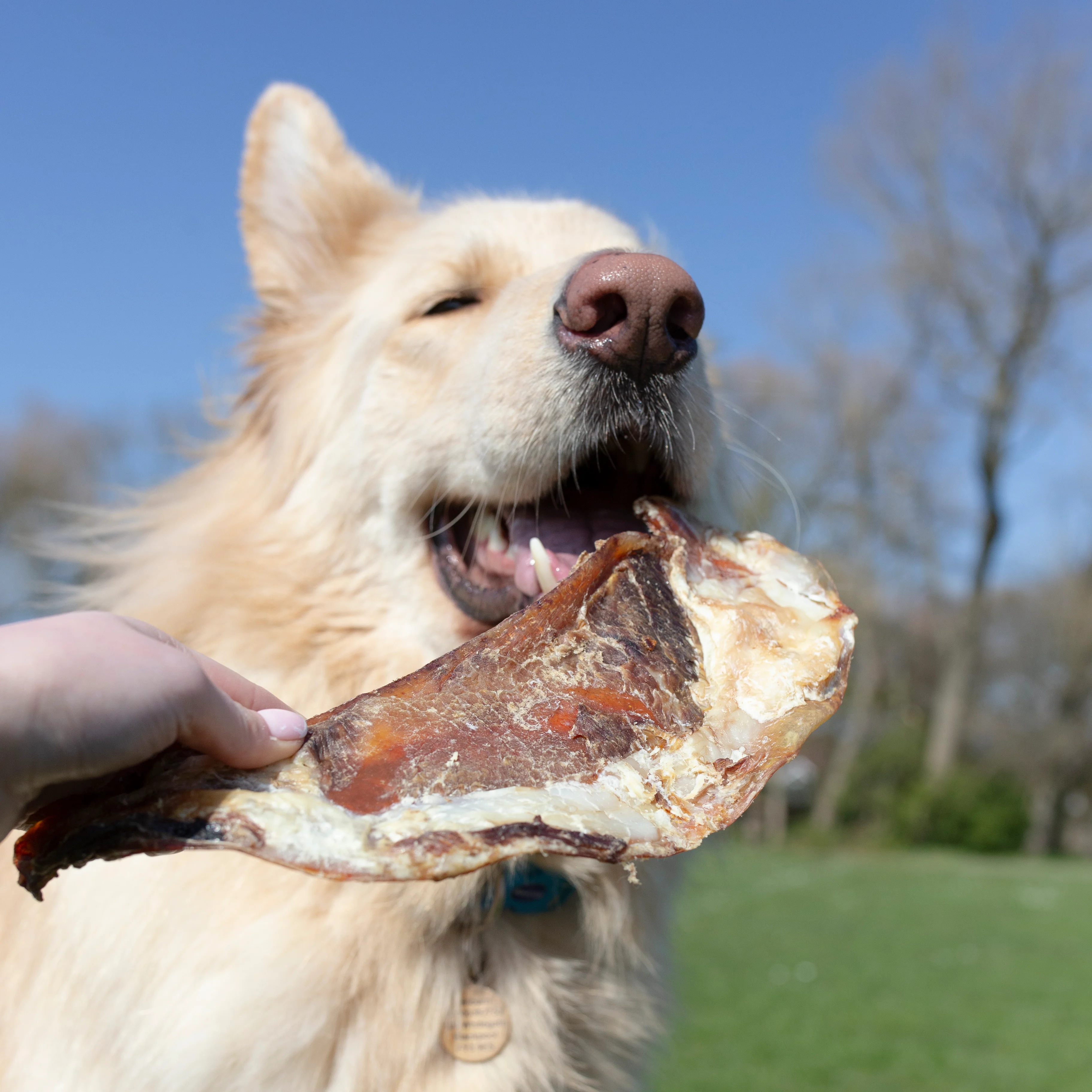 Bulk bag of moons bones (beef cartilage) natural dog treat, 1kg, 2kg or 5kg - Image 3