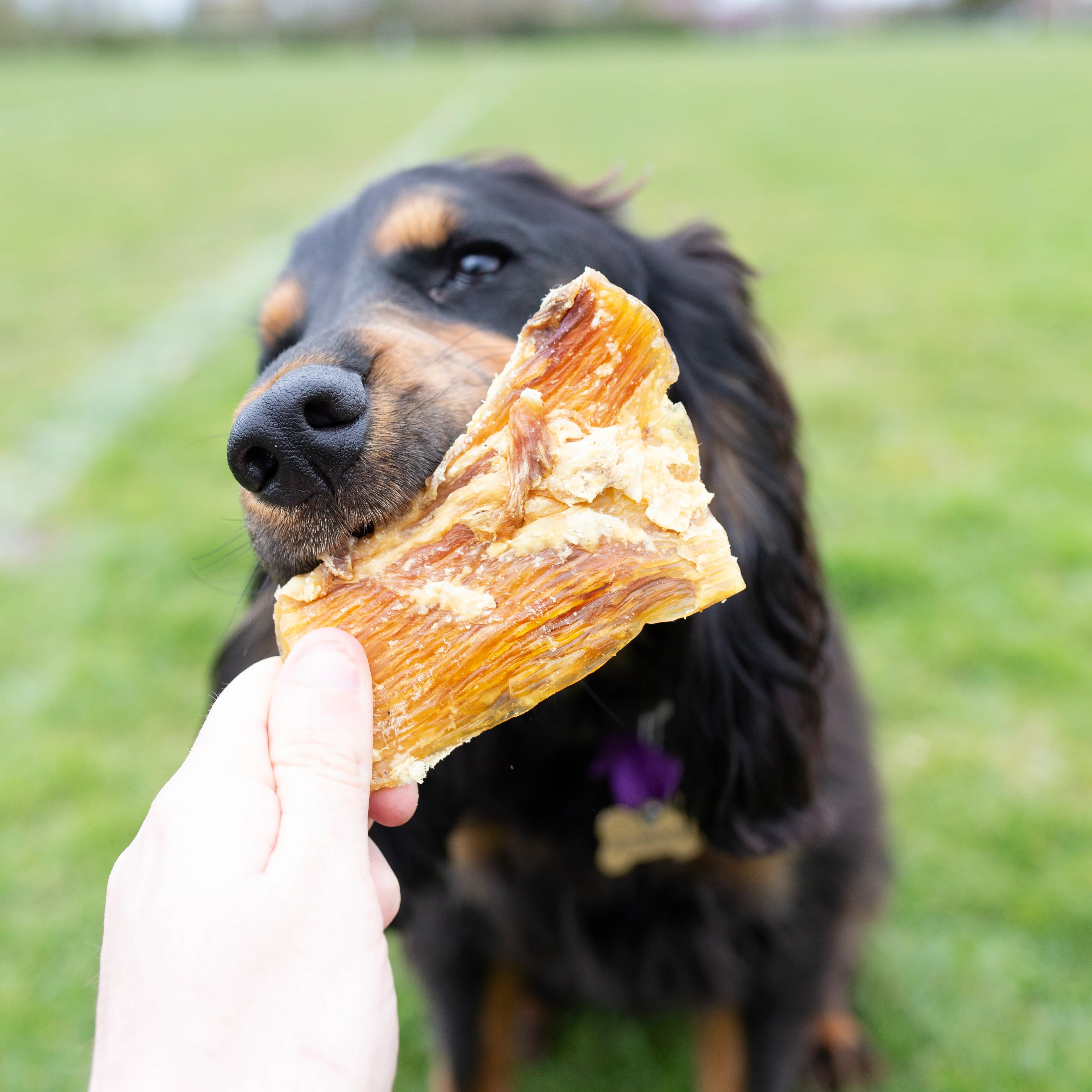 1kg bag or 500g bag  of paddy wack (beef tendon) natural dog treat - Image 4