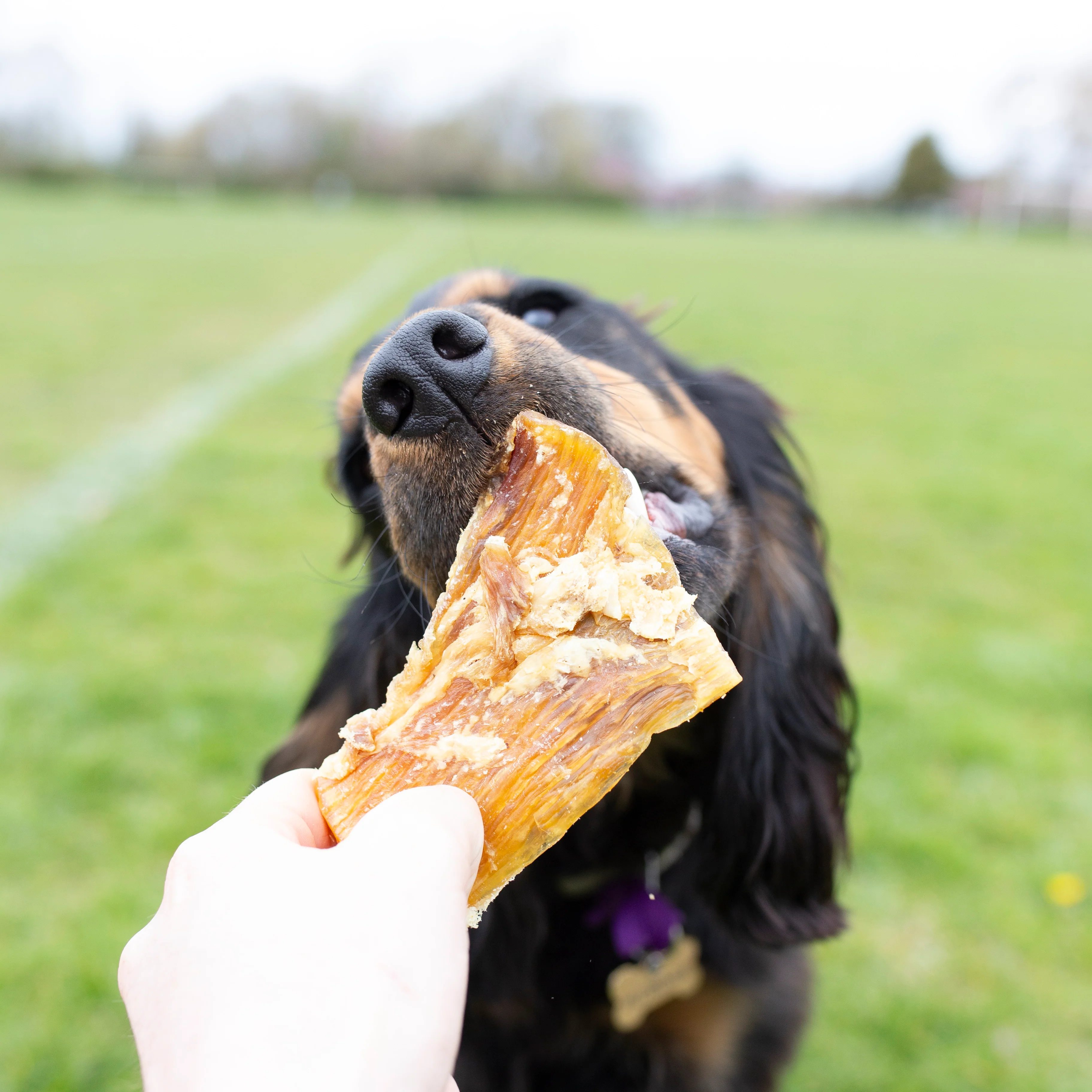 1kg bag or 500g bag  of paddy wack (beef tendon) natural dog treat - Image 5