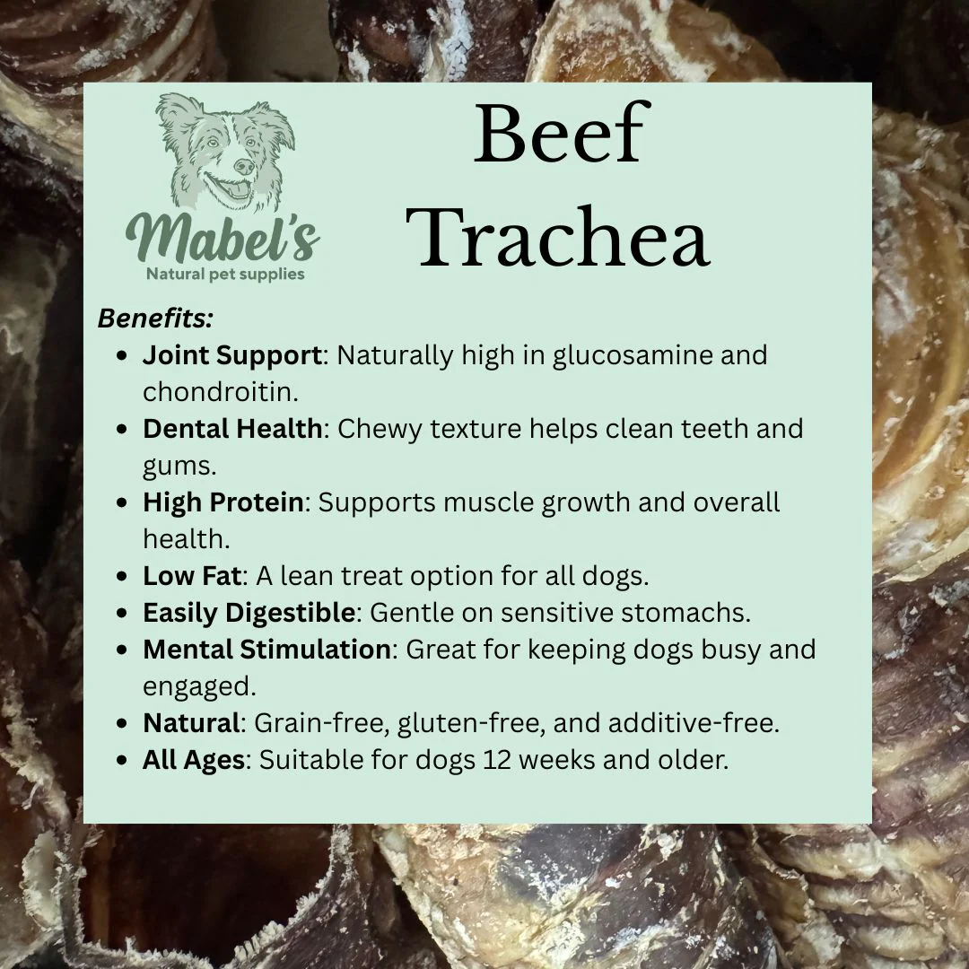 Bag of trachea,Long lasting dog treat, 500g, 1kg, - Image 4