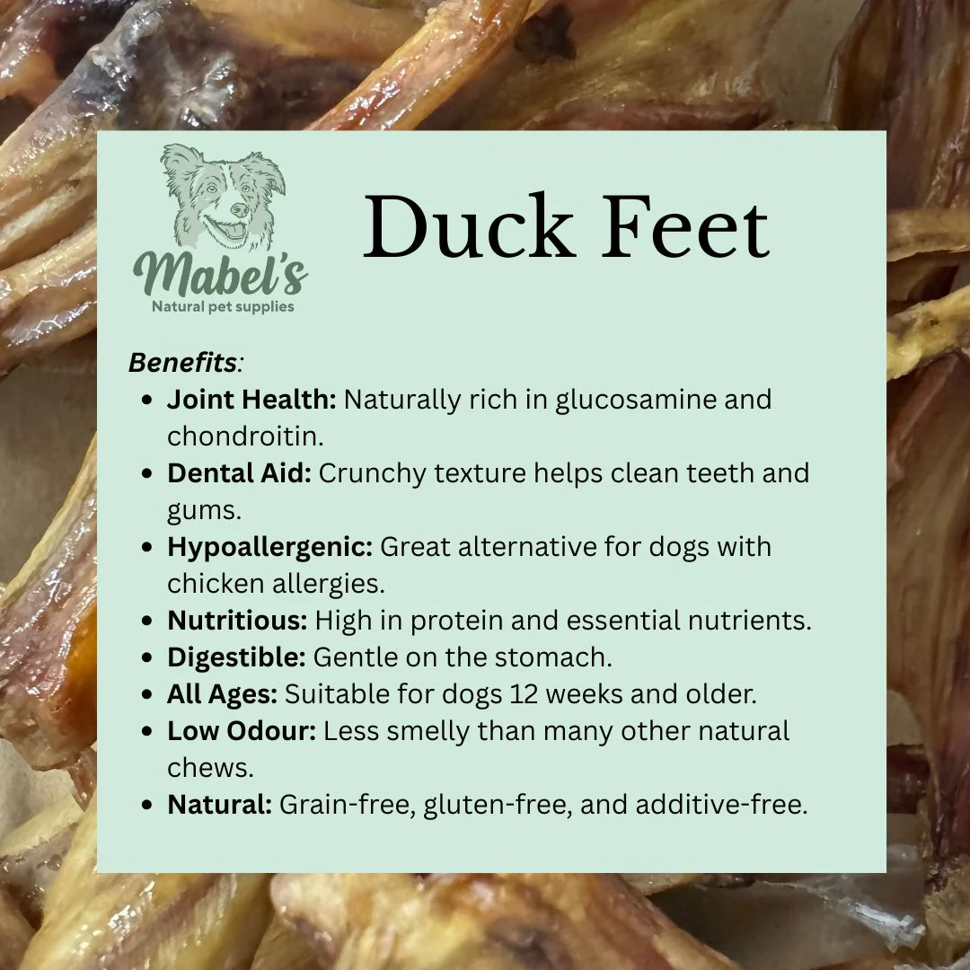 1kg bulk bag of duck feet, natural dog treat - Image 3