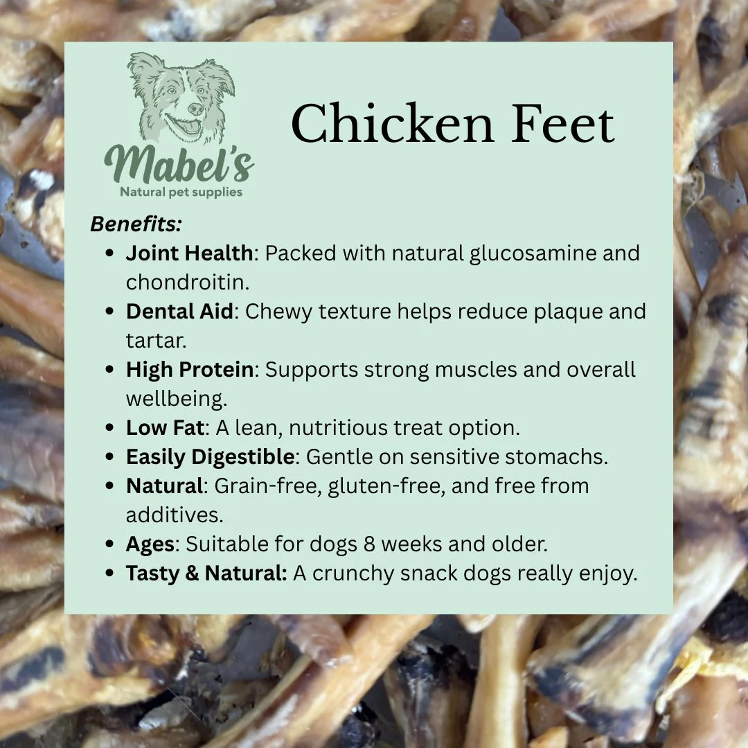 Air Dried Chicken Feet Bulk Bags – Natural Daily Treat for Healthy Joints & Teeth - Image 5