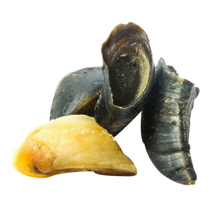 Empty Cow Hooves, single or 4 pack - Image 3