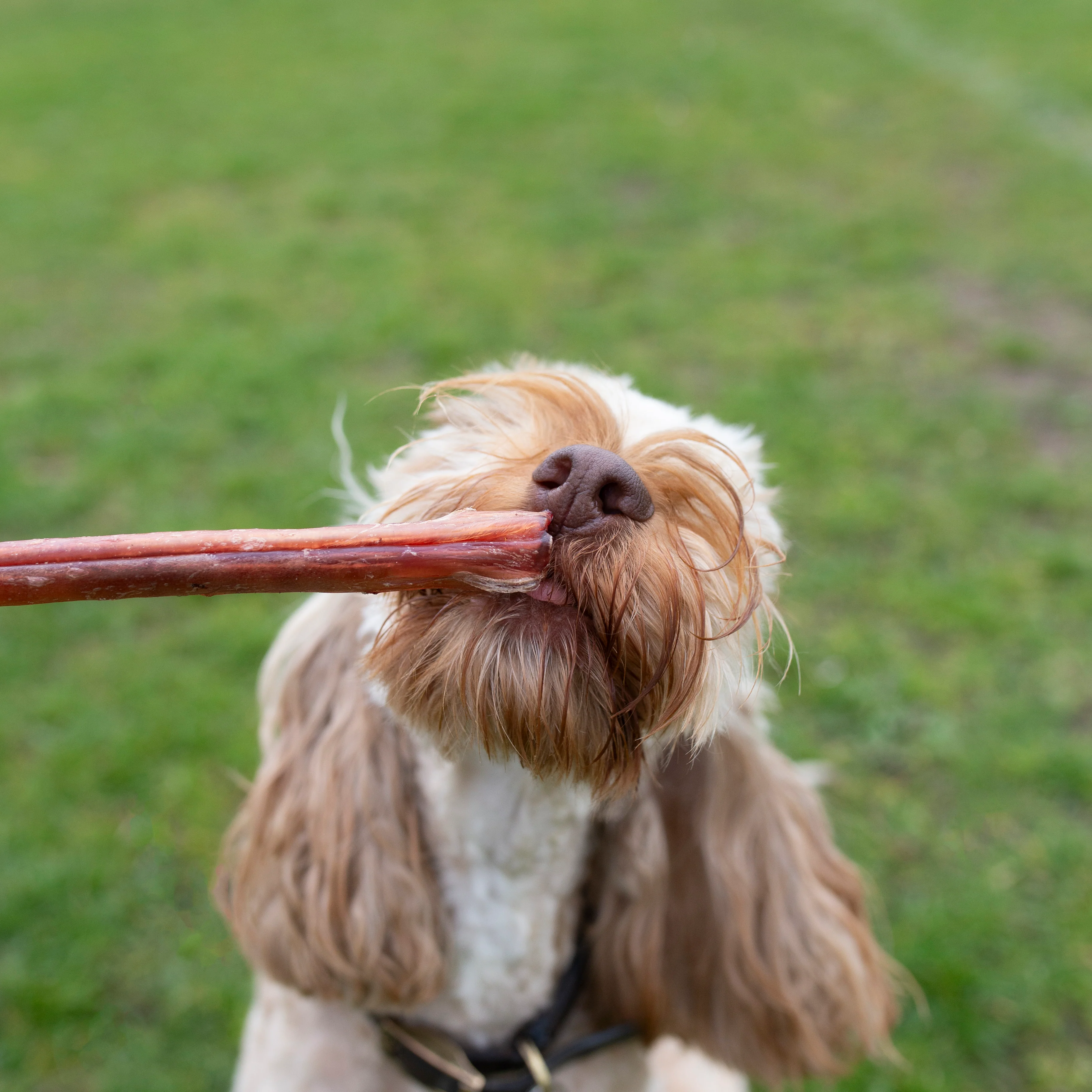 Pizzles 24cm - Image 4