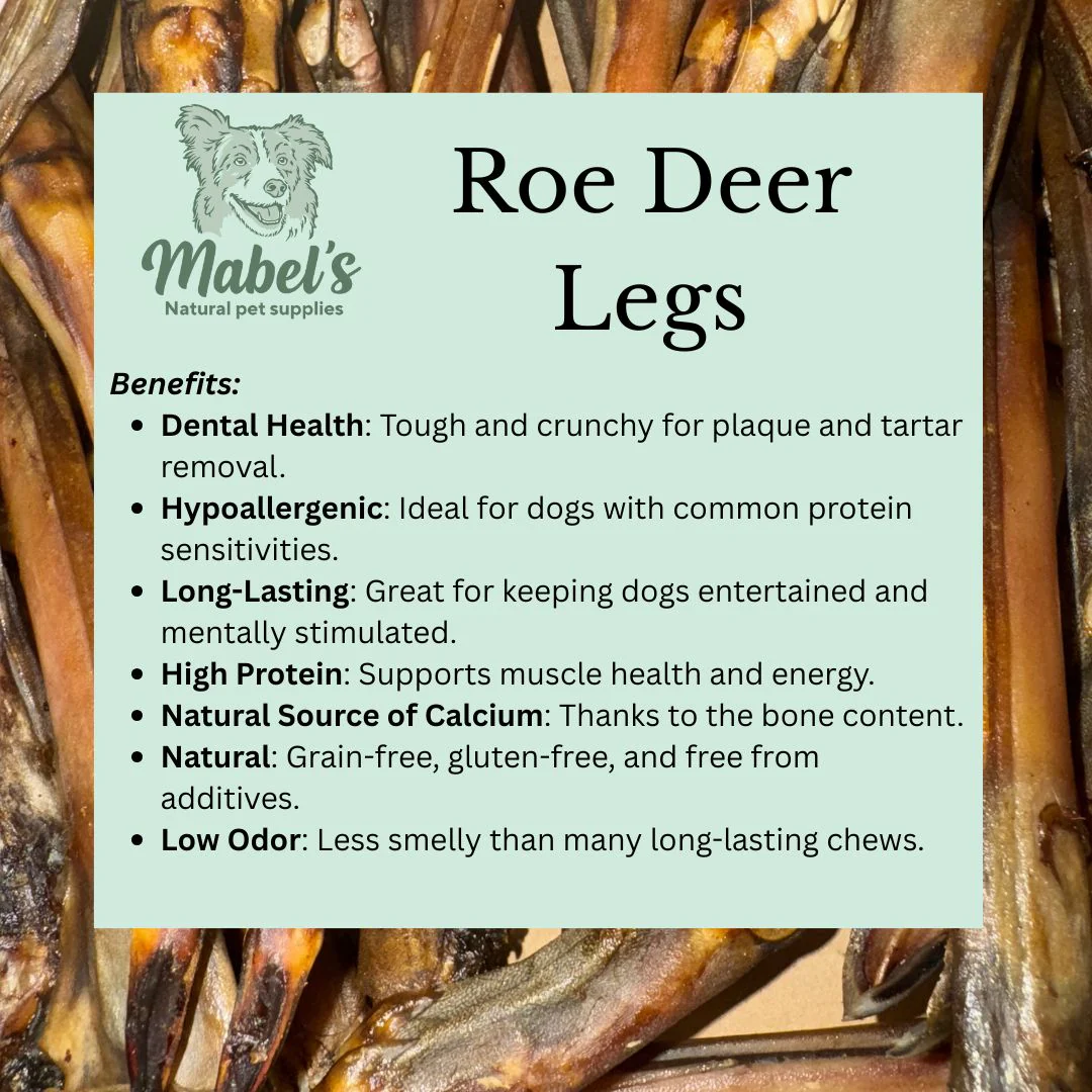 Roe deer legs, natural dog treat - Image 4
